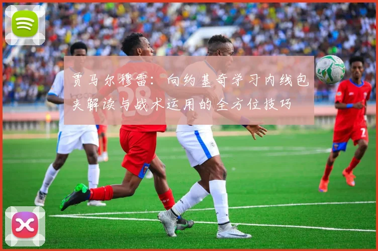 贾马尔穆雷：向约基奇学习内线包夹解读与战术运用的全方位技巧