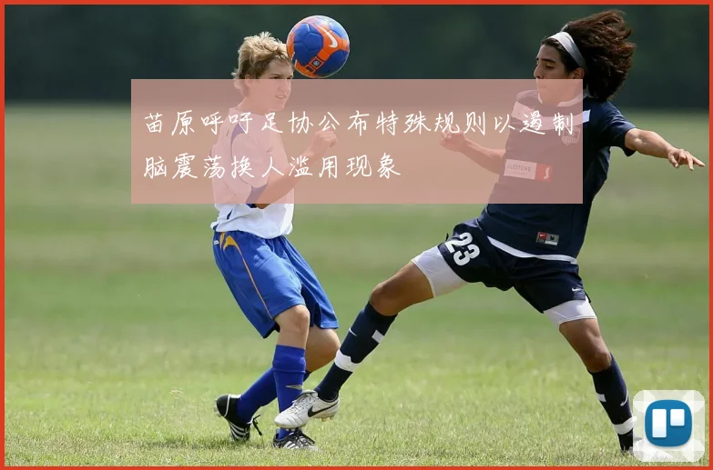 苗原呼吁足协公布特殊规则以遏制脑震荡换人滥用现象
