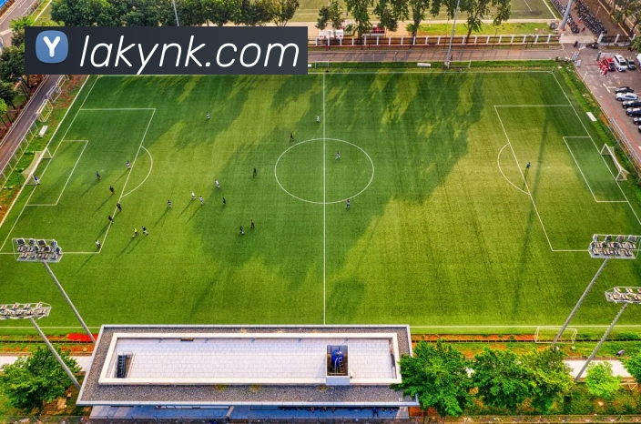 乐鱼平台生态图